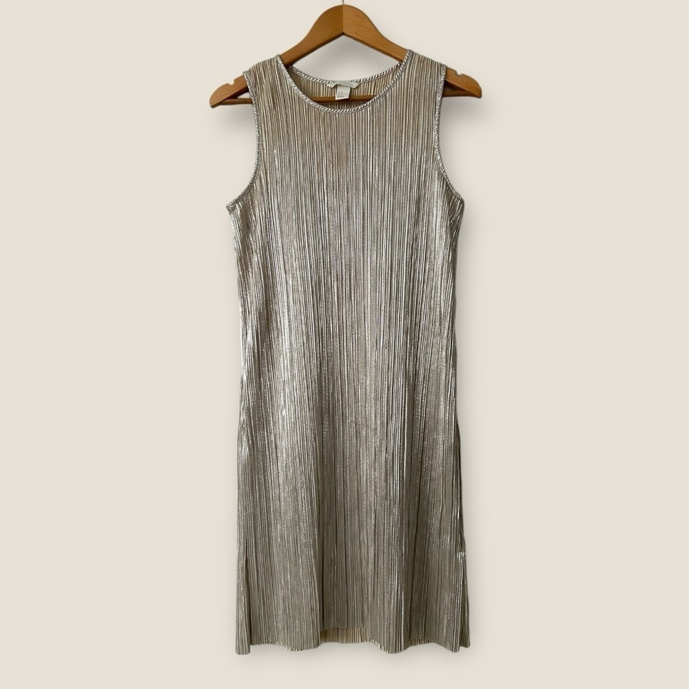 H&M Metallic Dress